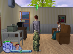 The Sims on Gamecube